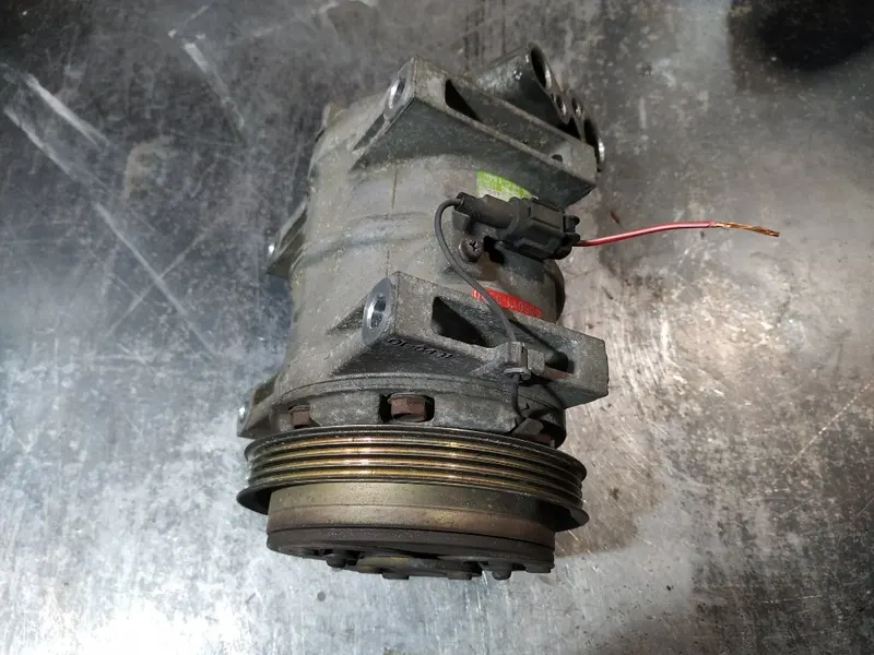 Фото: Компрессор кондиционера Nissan Elgrand APWE50 1997-2002