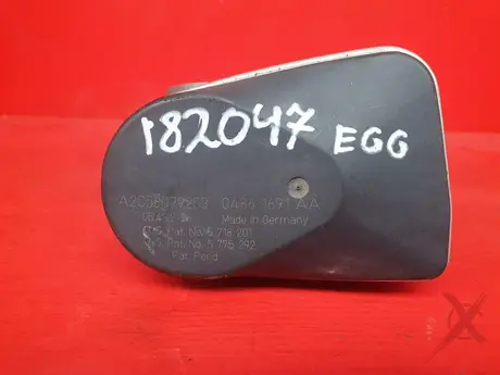 Фото: Дроссельная заслонка EGG